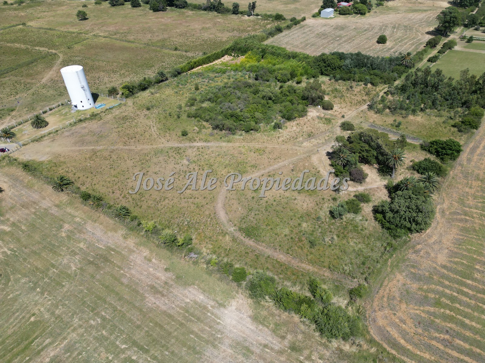 Imagen 7 de Lote de 3HA ubicado en la continuación del Barrio los Algodones, a la altura de la Bodega Bernardi por Ruta 1 en Colonia del Sacramento.