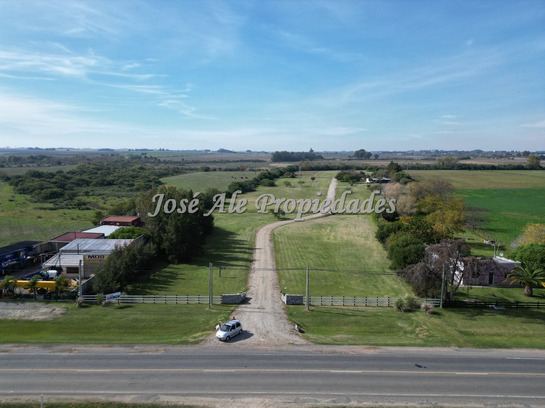 Imagen 3 de Chacras de 1 ha, ubicado por ruta 21. Se encuentra próximo a los servicios.