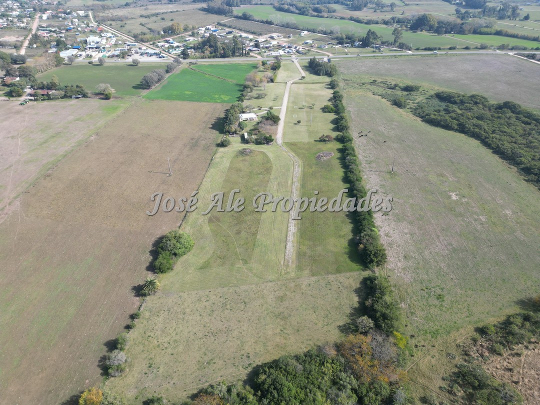 Imagen 8 de Chacras de 1 ha, ubicado por ruta 21. Se encuentra próximo a los servicios.