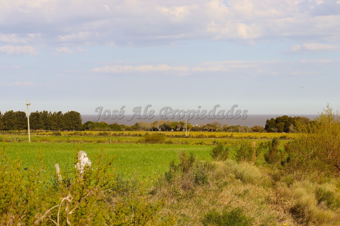 Imagen 5 de Hermosa chacra de 5 hectáreas en la mejor zona Matamora, se encuentra cercano a la playa, con vista al rio desde todo el predio.