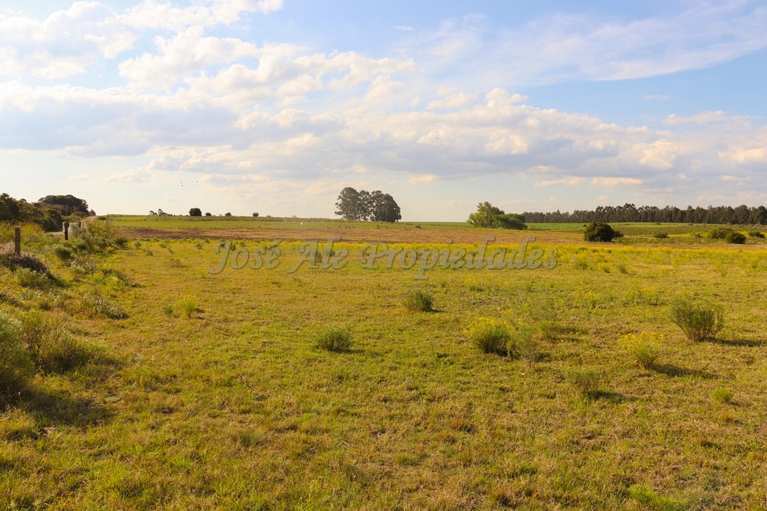 Imagen 6 de Hermosa chacra de 5 hectáreas en la mejor zona Matamora, se encuentra cercano a la playa, con vista al rio desde todo el predio.