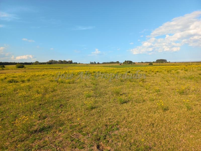 Hermosa chacra de 5 hectáreas en la mejor zona Matamora, se encuentra cercano a la playa, con vista al rio desde todo el predio.