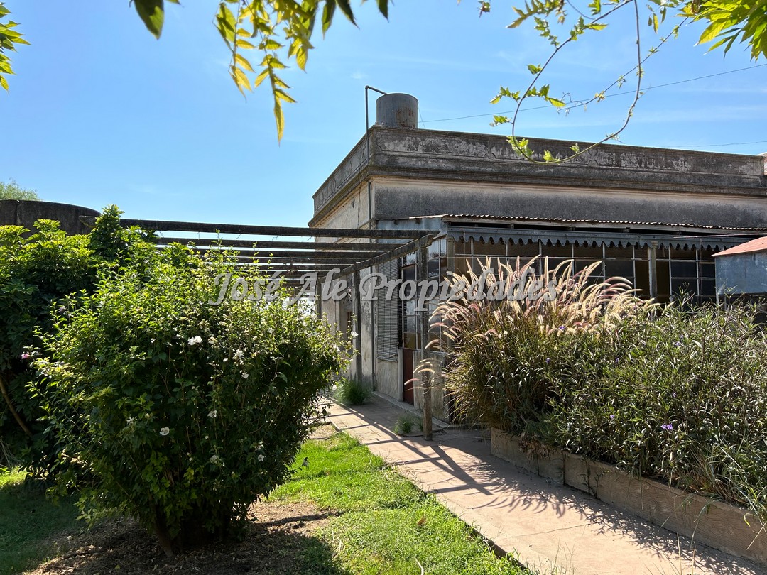 Imagen 3 de Campo agrícola de 187 HA ubicado a 23 km de la ciudad de Carmelo y a 15 km de la Ruta Nacional 21.