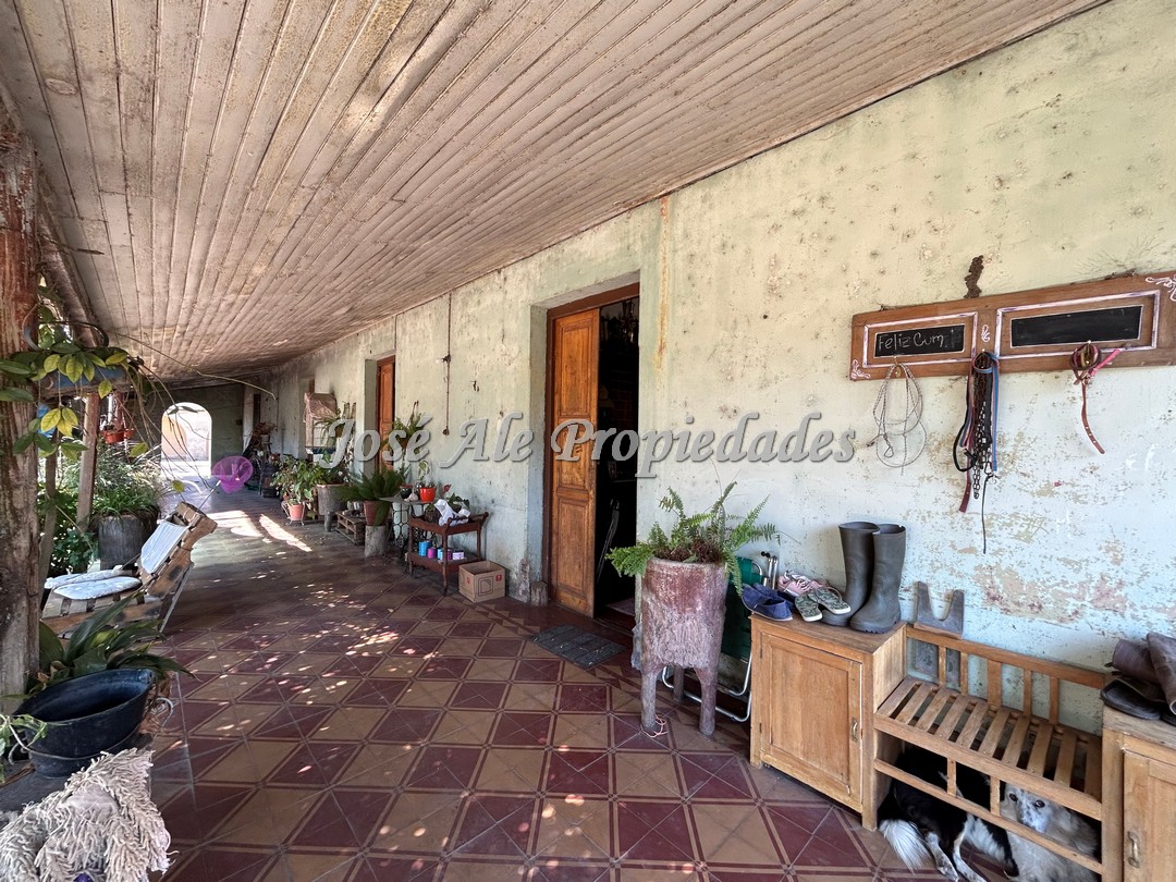 Imagen 4 de Campo agrícola de 187 HA ubicado a 23 km de la ciudad de Carmelo y a 15 km de la Ruta Nacional 21.