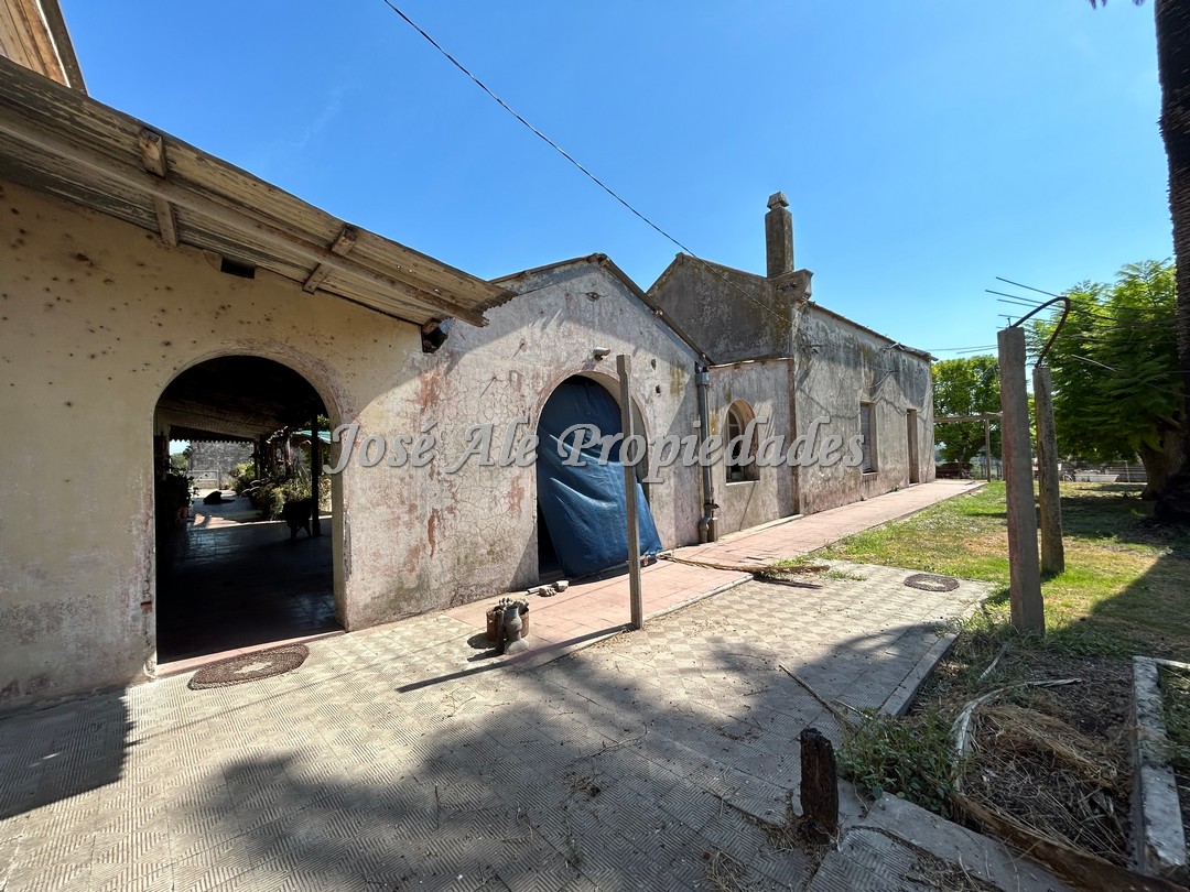 Imagen 5 de Campo agrícola de 187 HA ubicado a 23 km de la ciudad de Carmelo y a 15 km de la Ruta Nacional 21.