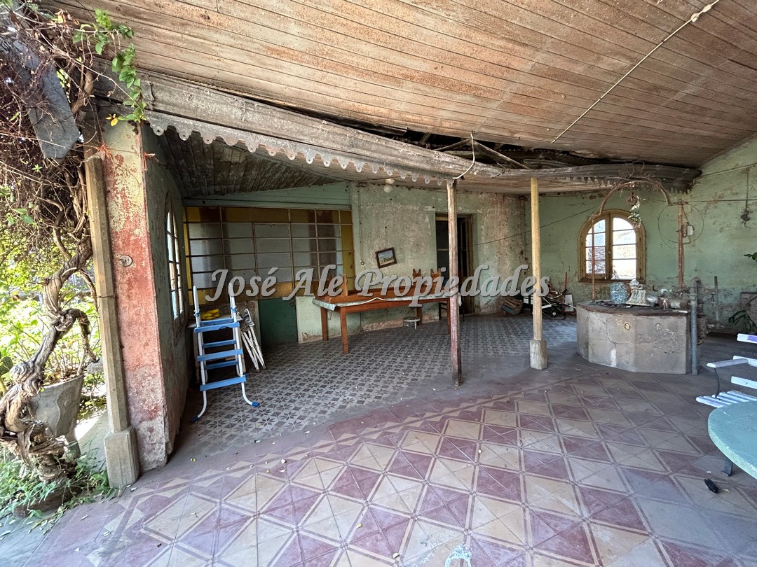 Imagen 6 de Campo agrícola de 187 HA ubicado a 23 km de la ciudad de Carmelo y a 15 km de la Ruta Nacional 21.