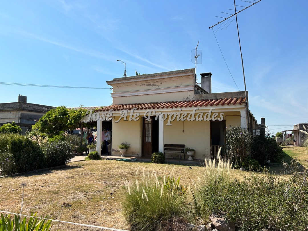 Imagen 7 de Campo agrícola de 187 HA ubicado a 23 km de la ciudad de Carmelo y a 15 km de la Ruta Nacional 21.