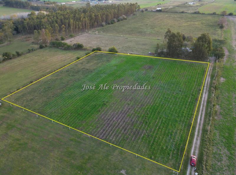 Chacra de 1 Ha por Ruta 21 a tan solo 4 km del supermercado El Dorado, Colonia del Sacramento.