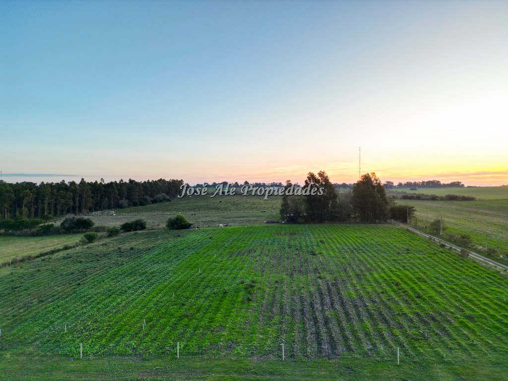 Imagen 3 de Chacra de 1 Ha por Ruta 21 a tan solo 4 km del supermercado El Dorado, Colonia del Sacramento.
