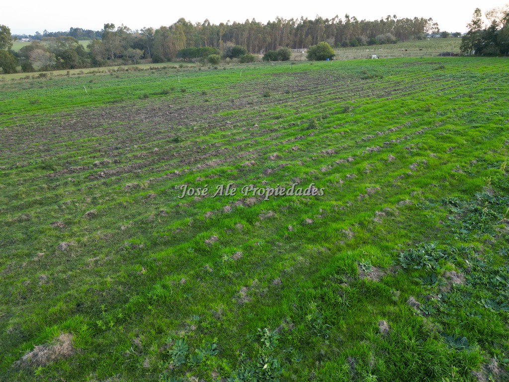 Imagen 4 de Chacra de 1 Ha por Ruta 21 a tan solo 4 km del supermercado El Dorado, Colonia del Sacramento.