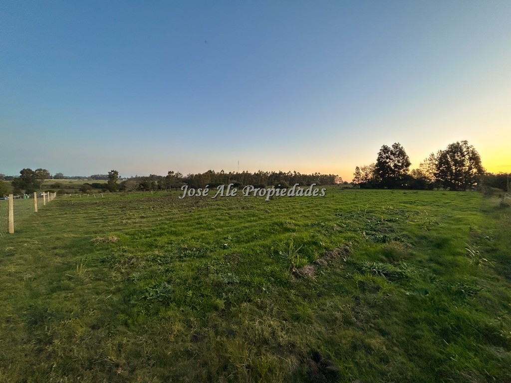 Imagen 8 de Chacra de 1 Ha por Ruta 21 a tan solo 4 km del supermercado El Dorado, Colonia del Sacramento.