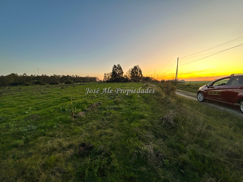 Imagen 9 de Chacra de 1 Ha por Ruta 21 a tan solo 4 km del supermercado El Dorado, Colonia del Sacramento.