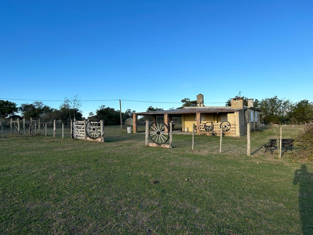 Imagen 4 de Campo en venta 663 HA en 2 padrones.