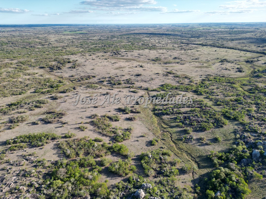 Imagen 7 de Campo en venta 663 HA en 2 padrones.