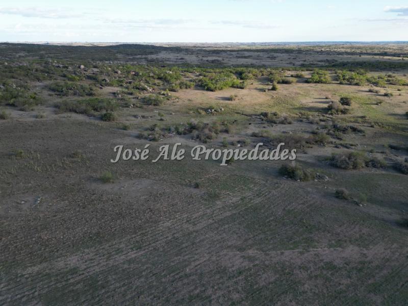 Campo en venta 663 HA en 2 padrones.