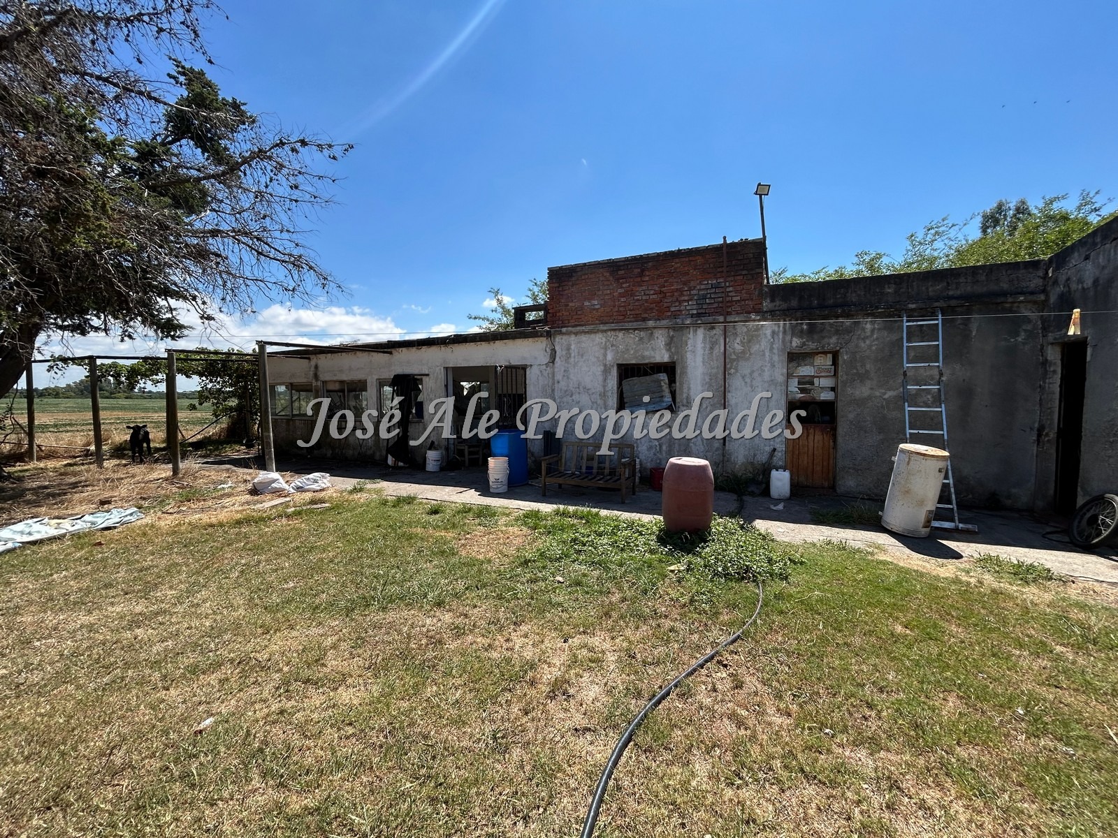 Imagen 10 de Chacra ubicada en Riachuelo a metros de la Ruta nº1 con 2 construcciones y 7092m2 de terreno, Colonia.