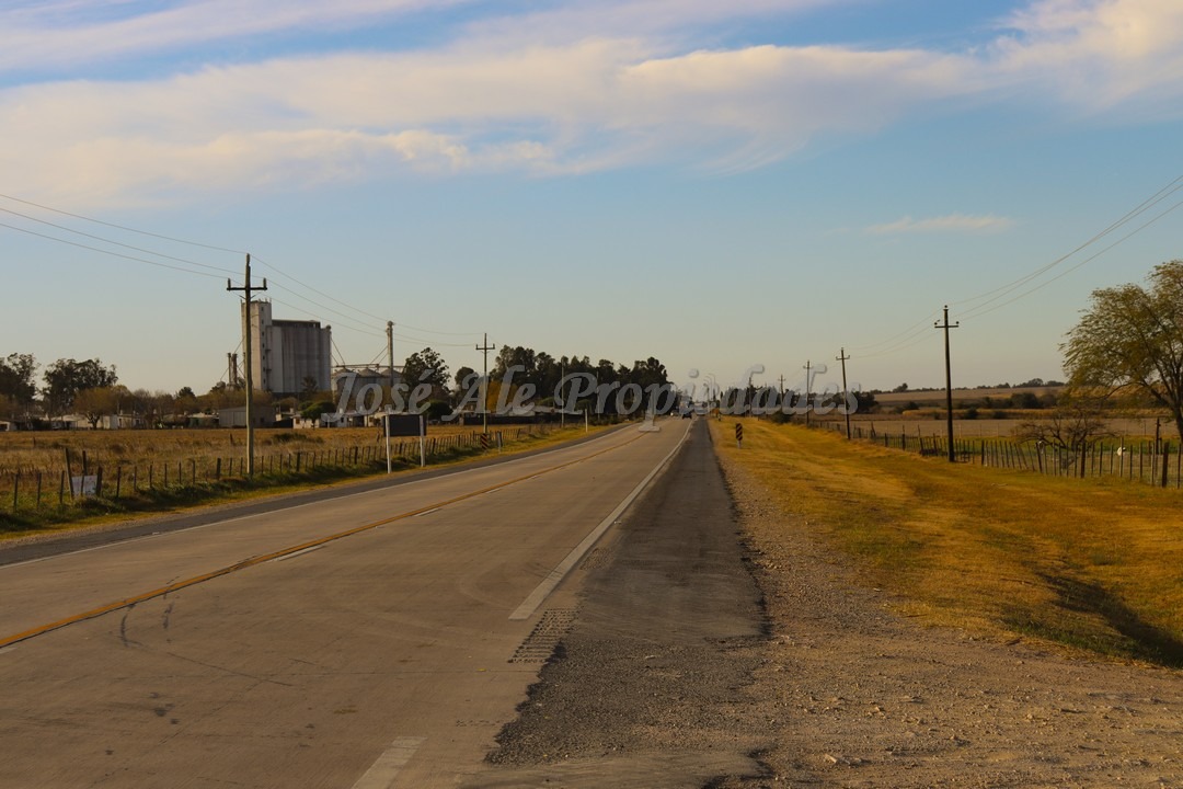 Imagen 4 de Hermosa parcela de 4 hectáreas ubicadas sobre ruta 55 a pocas cuadras de la ciudad de Ombúes de Lavalle.