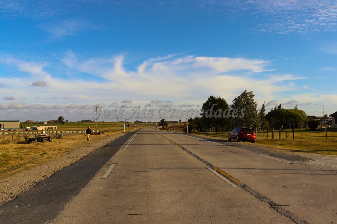 Imagen 5 de Hermosa parcela de 4 hectáreas ubicadas sobre ruta 55 a pocas cuadras de la ciudad de Ombúes de Lavalle.