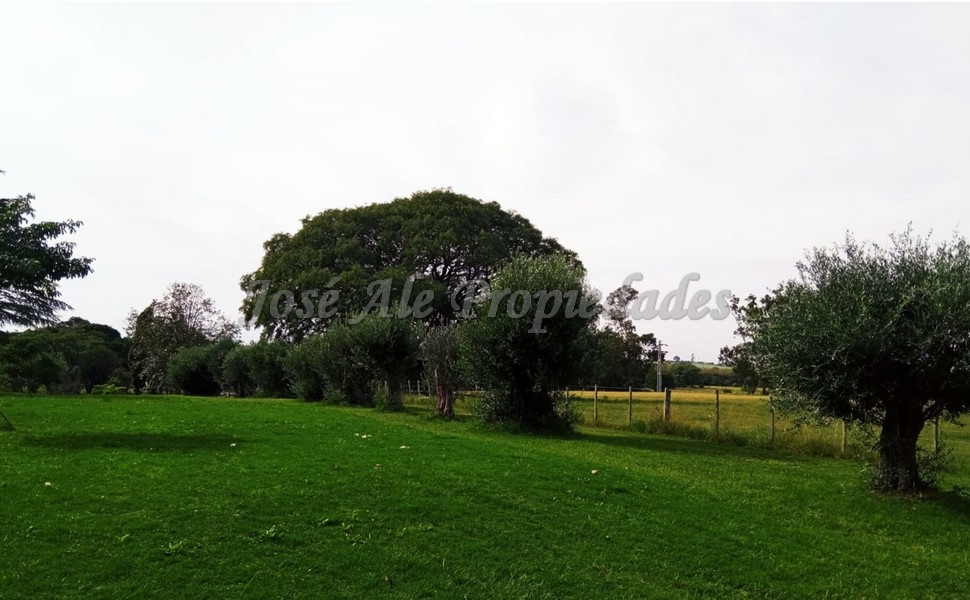 Imagen 10 de Extraordinaria propiedad a 4000 metros del centro de Colonia del Sacramento.