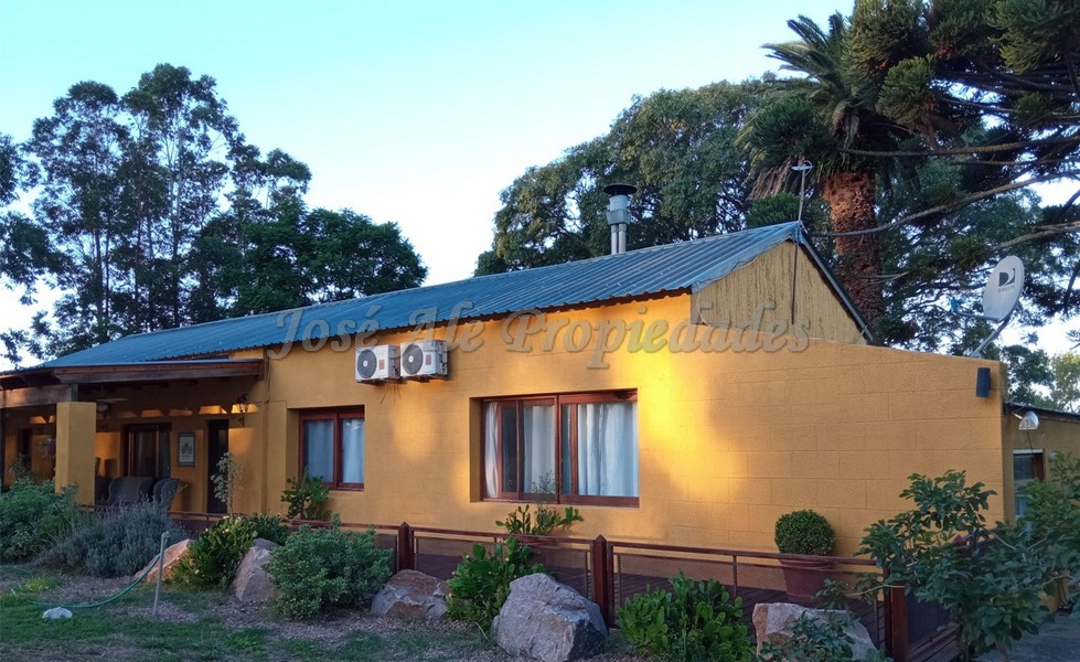 Imagen 4 de Extraordinaria propiedad a 4000 metros del centro de Colonia del Sacramento.