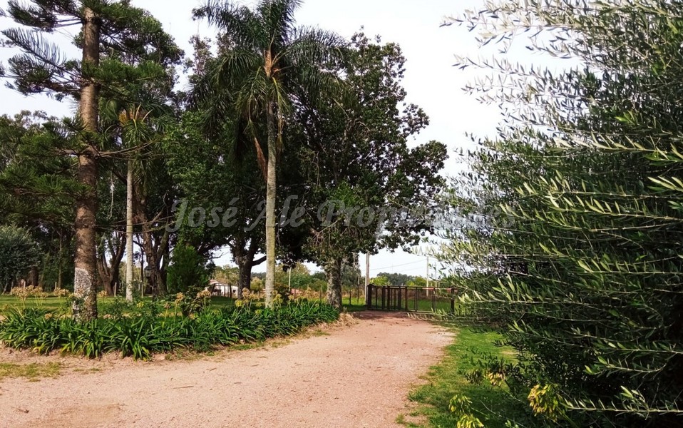 Imagen 9 de Extraordinaria propiedad a 4000 metros del centro de Colonia del Sacramento.