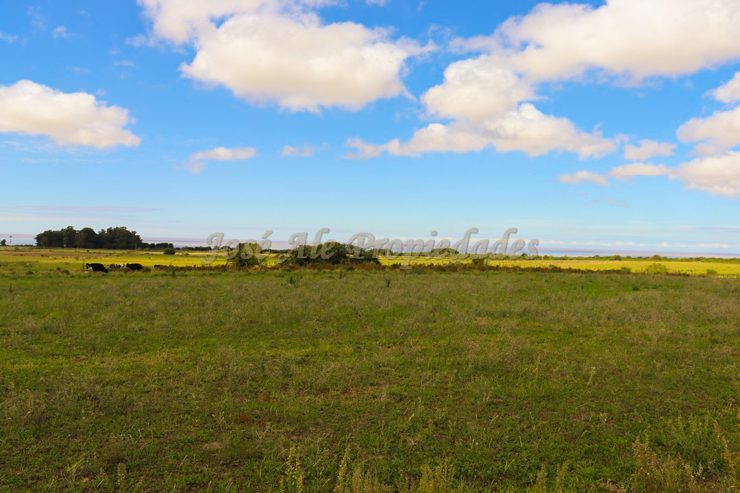 Imagen 3 de Hermosa parcela de 5 hectáreas un paraíso en la mejor zona.
