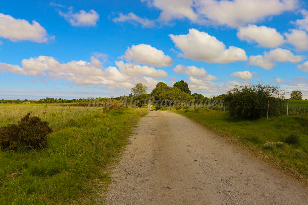 Imagen 5 de Hermosa parcela de 5 hectáreas un paraíso en la mejor zona.