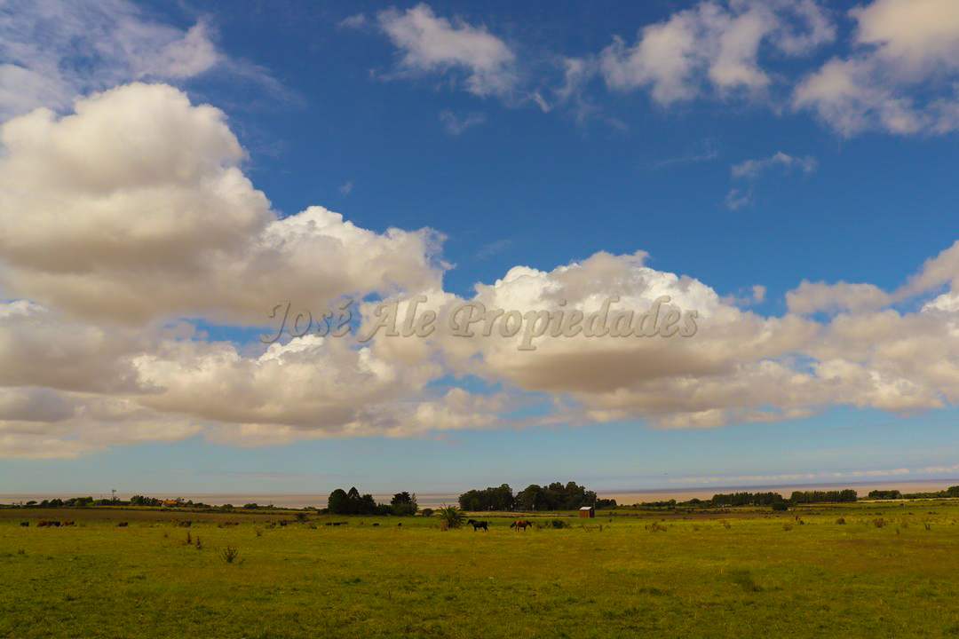 Imagen 7 de Hermosa parcela de 5 hectáreas un paraíso en la mejor zona.