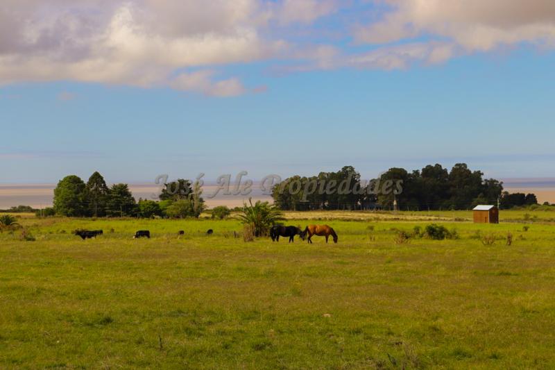 Hermosa parcela de 5 hectáreas un paraíso en la mejor zona.