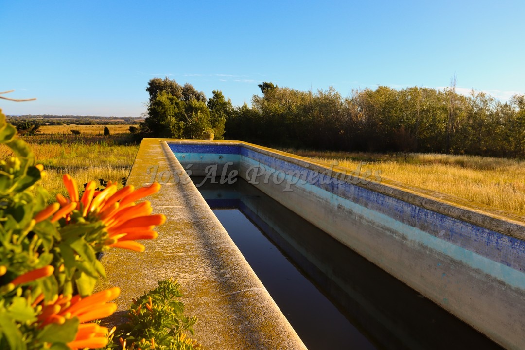 Imagen 10 de Una chacra desde donde podemos apreciar el horizonte y donde se juntan el agua y el cielo.