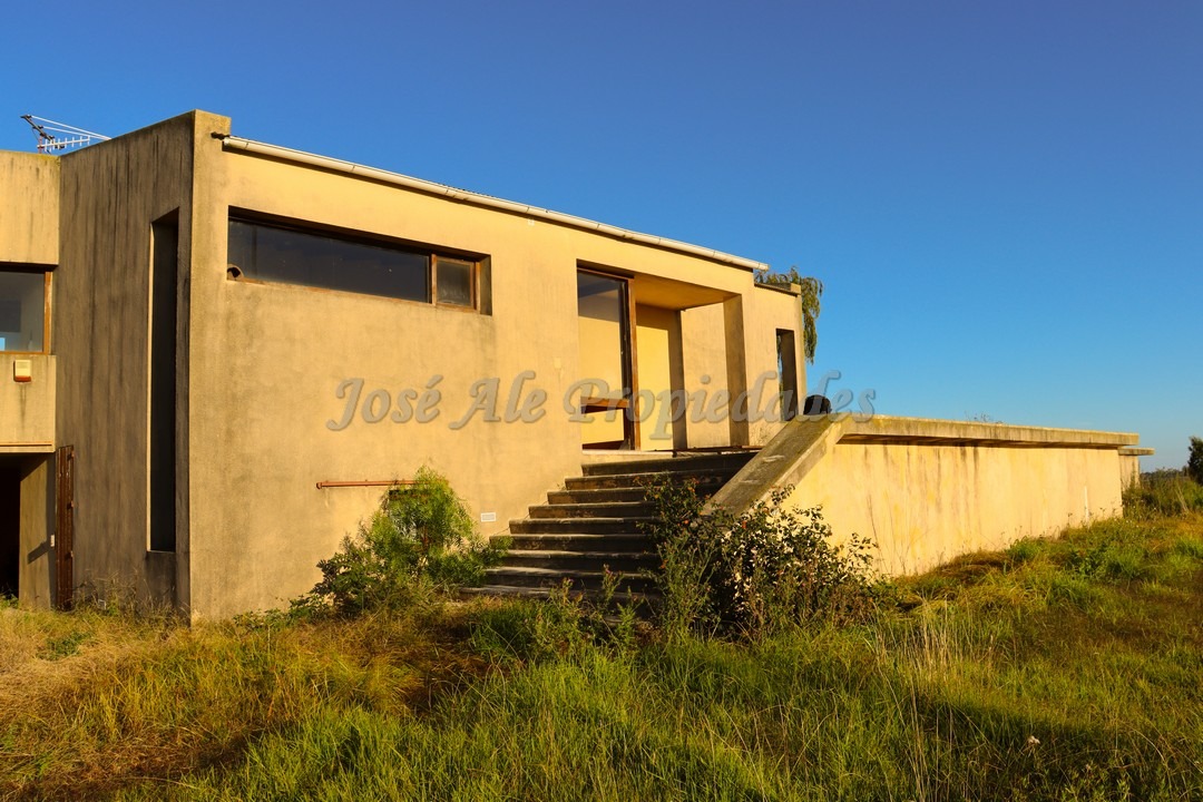 Imagen 8 de Una chacra desde donde podemos apreciar el horizonte y donde se juntan el agua y el cielo.