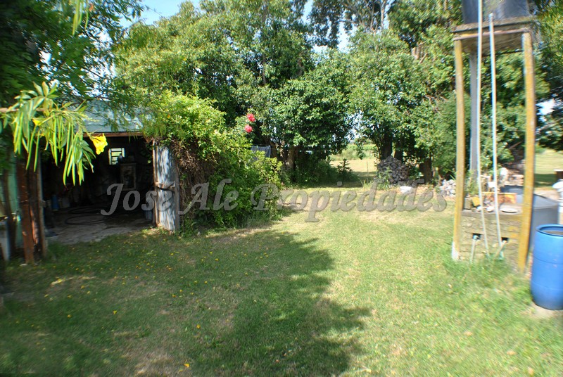 Imagen 7 de Hermosa y agradable chacra de 6.666 m2 ubicada en Laguna de los Patos.