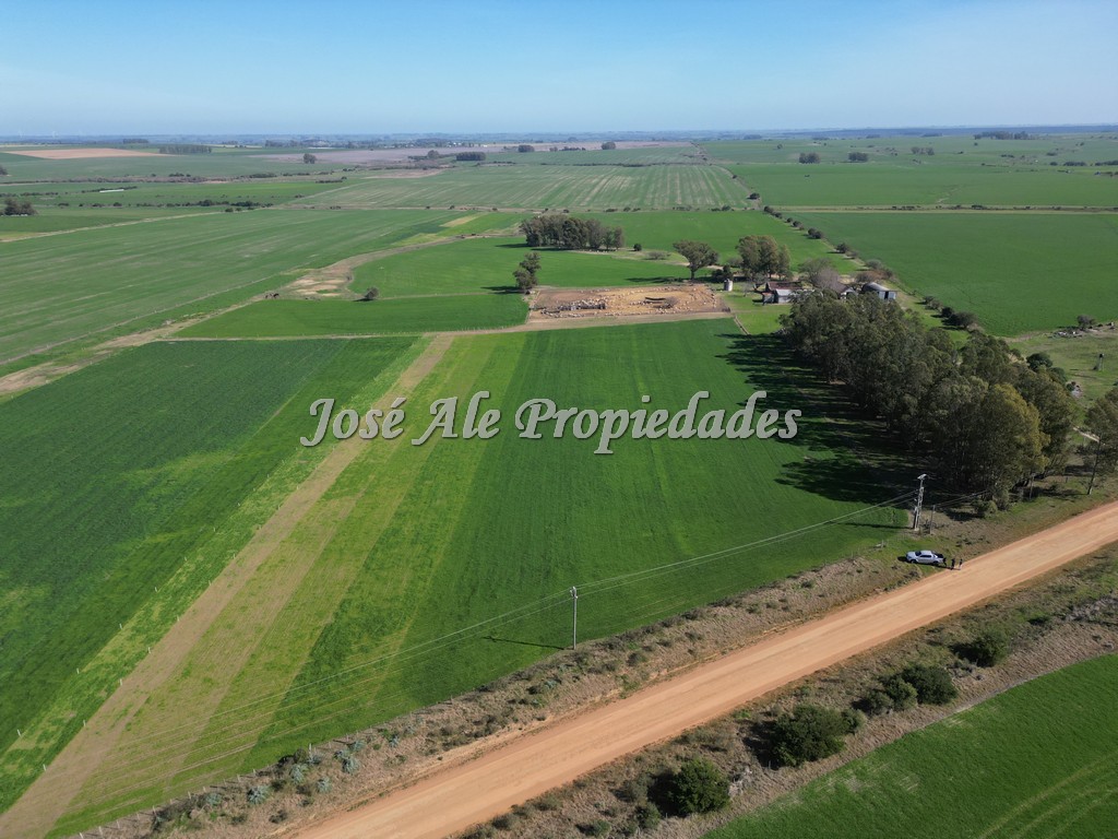 Imagen 4 de Excelente campo Agrícola.