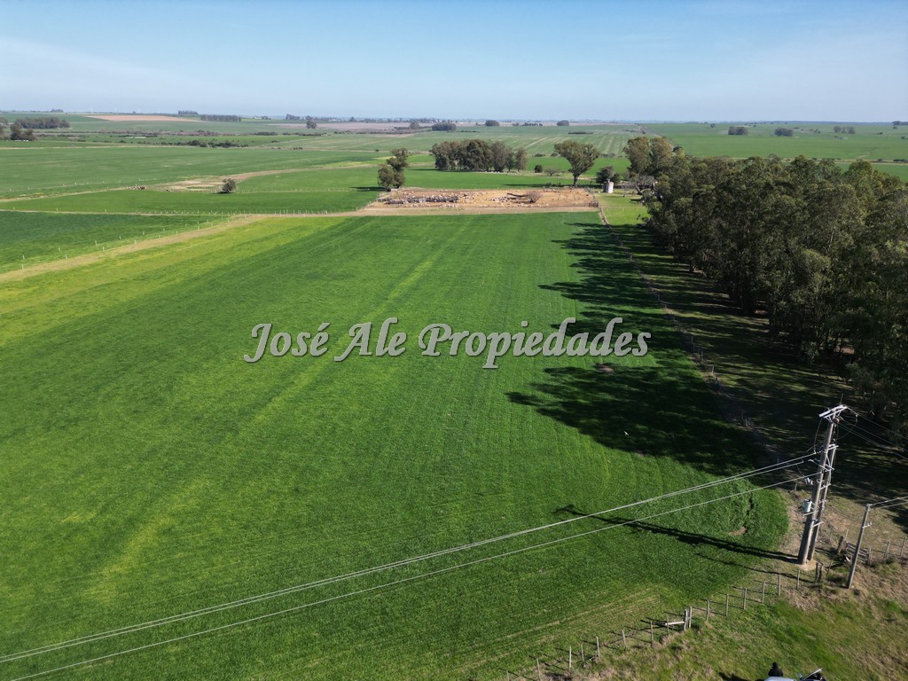 Imagen 8 de Excelente campo Agrícola.