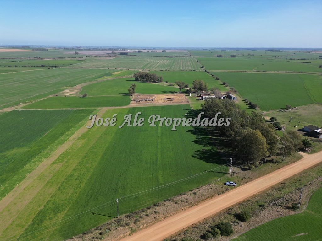 Imagen 9 de Excelente campo Agrícola.