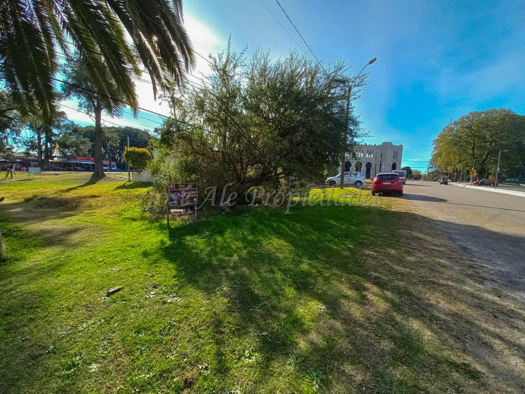 Imagen 3 de Espectacular terreno de 275 m2 a pocos metros de un monumento histórico de la ciudad de colonia.