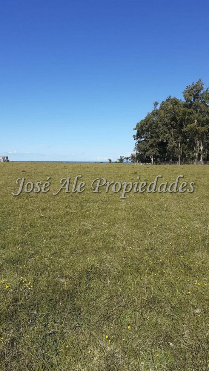 Imagen 4 de 2 destacados lotes de 691m2 c/u ubicados a tan solo 300m de la playa a 20min de la Pedrera, Rocha.