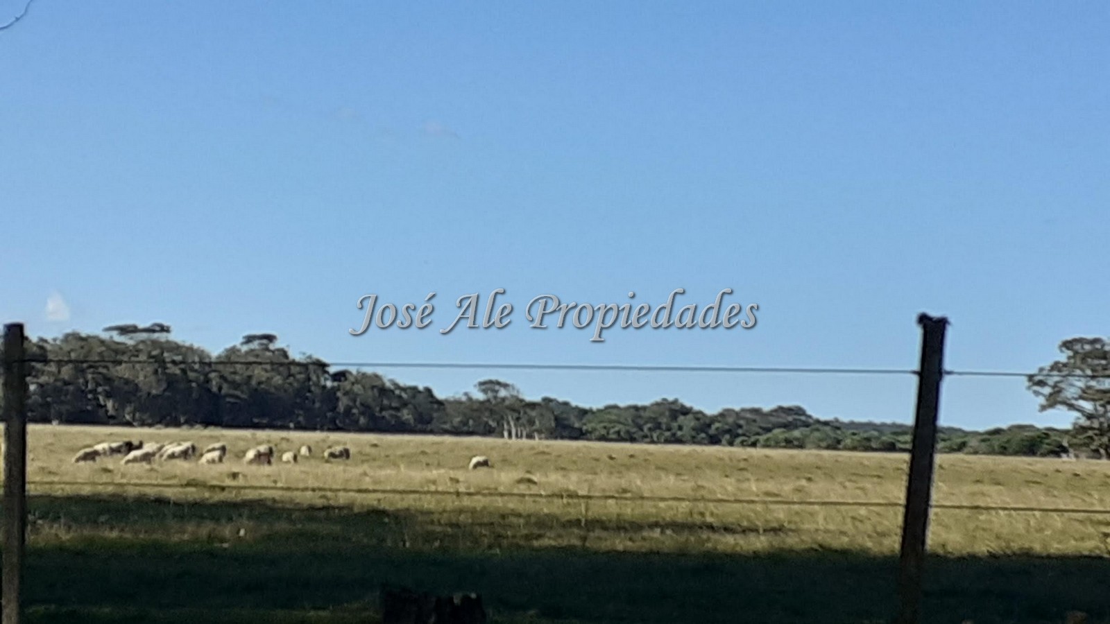 Imagen 6 de 2 destacados lotes de 691m2 c/u ubicados a tan solo 300m de la playa a 20min de la Pedrera, Rocha.