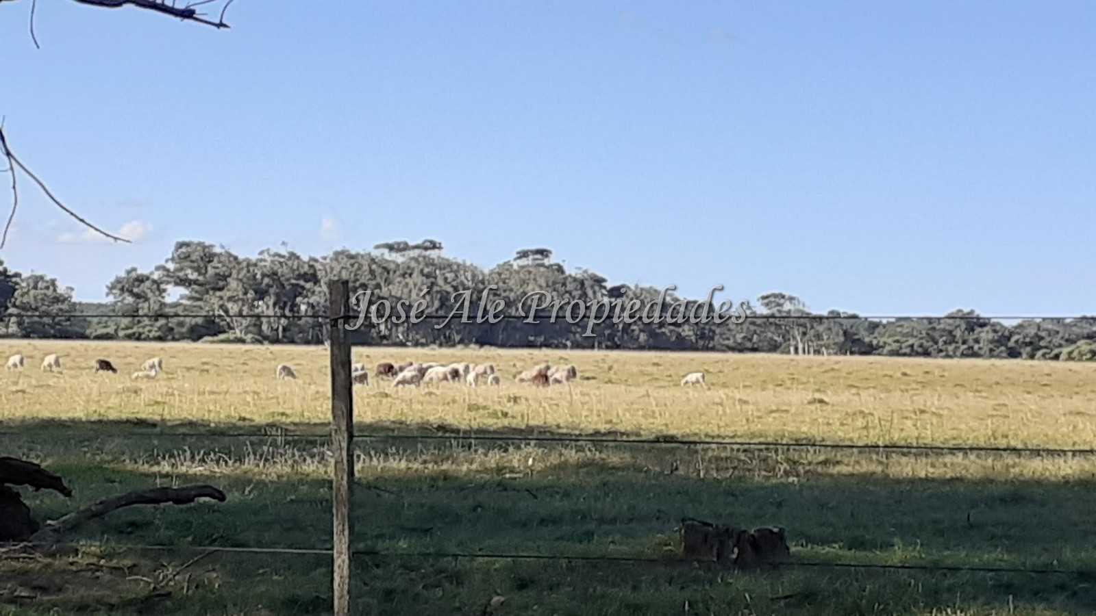 Imagen 7 de 2 destacados lotes de 691m2 c/u ubicados a tan solo 300m de la playa a 20min de la Pedrera, Rocha.