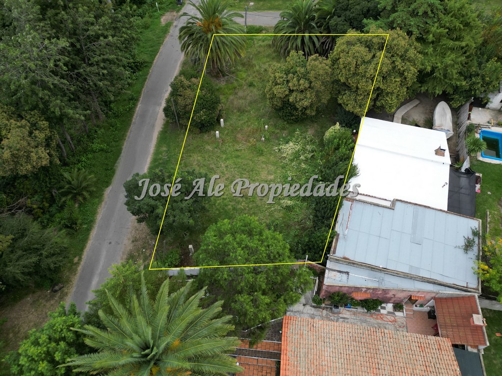 Imagen 10 de Terreno en esquina ubicado en un barrio muy tranquilo, rodeado de verdes y mucha naturaleza en Colonia del Sacramento.