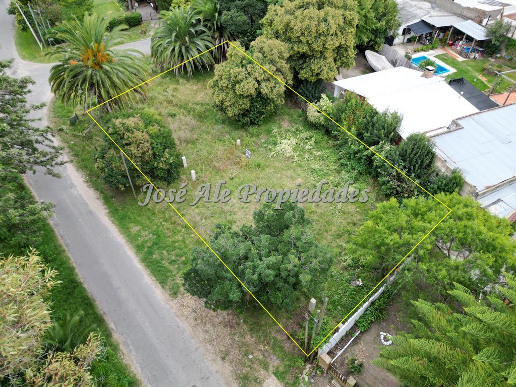 Imagen 5 de Terreno en esquina ubicado en un barrio muy tranquilo, rodeado de verdes y mucha naturaleza en Colonia del Sacramento.