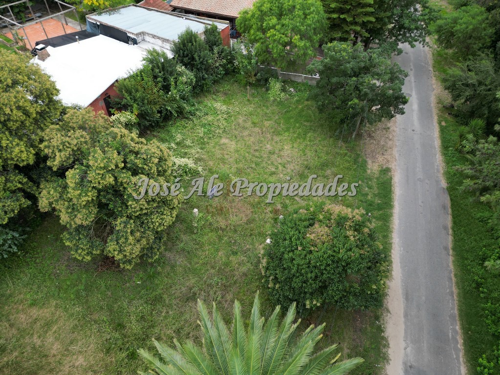 Imagen 8 de Terreno en esquina ubicado en un barrio muy tranquilo, rodeado de verdes y mucha naturaleza en Colonia del Sacramento.