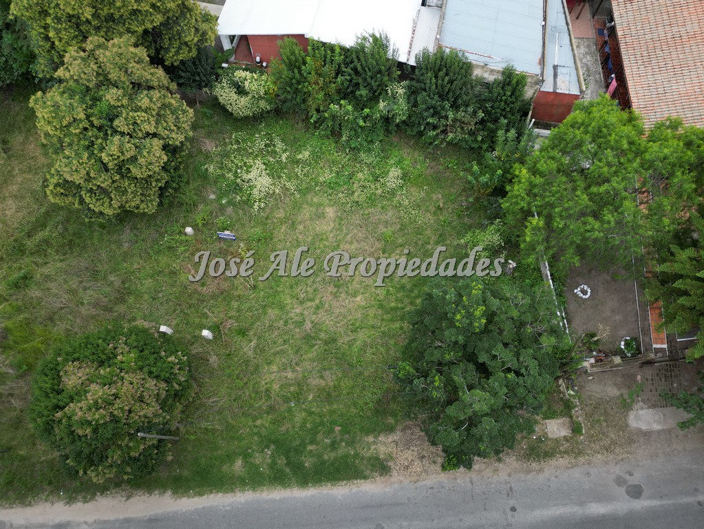 Imagen 9 de Terreno en esquina ubicado en un barrio muy tranquilo, rodeado de verdes y mucha naturaleza en Colonia del Sacramento.