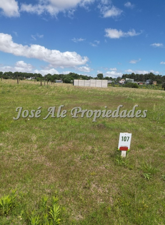 Imagen 10 de Terreno en barrio Los Ceibos.