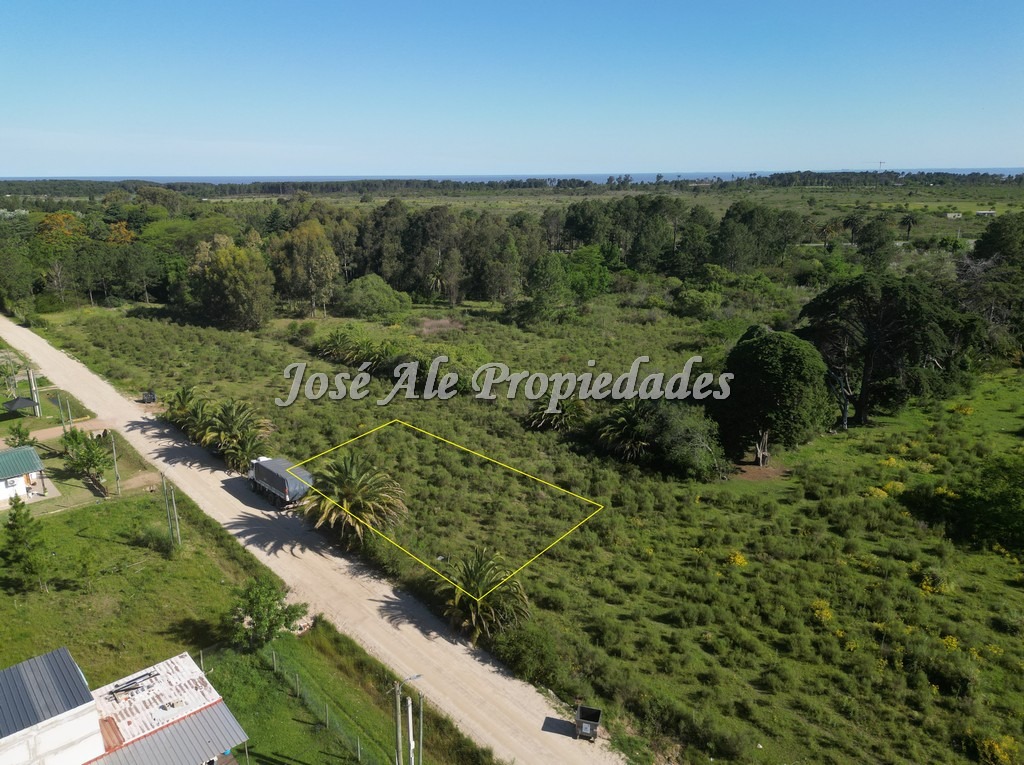 Imagen 5 de Terreno en Colonia del Sacramento.