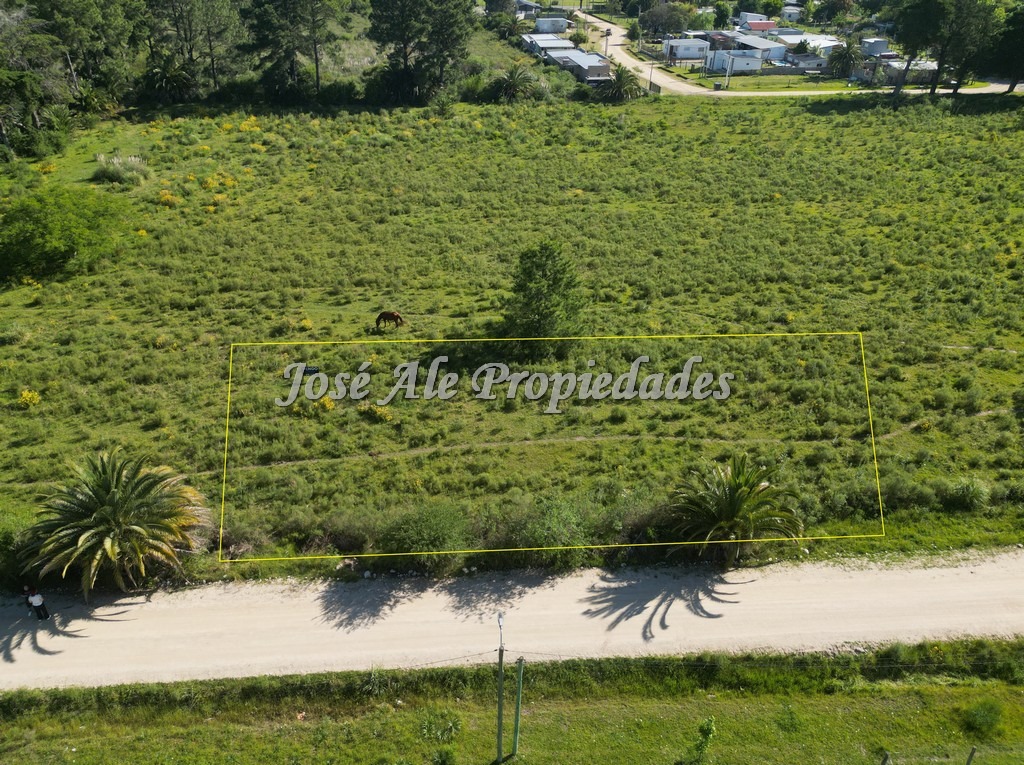 Imagen 3 de Terreno en Colonia del Sacramento.