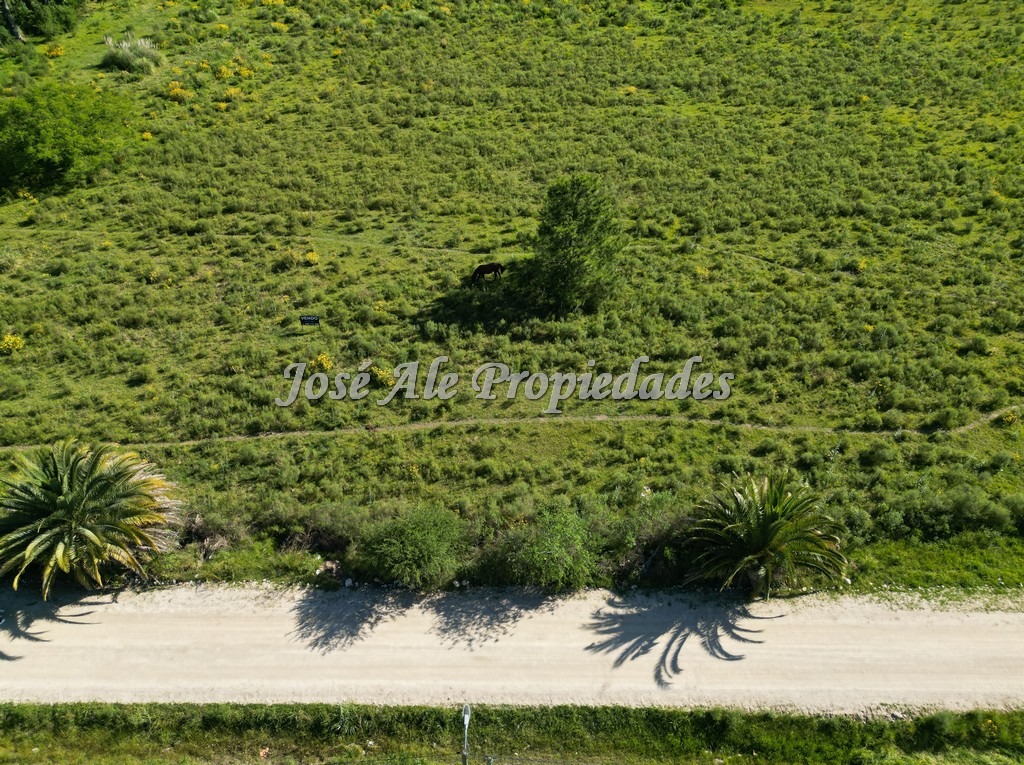 Imagen 5 de Terreno en Colonia del Sacramento.