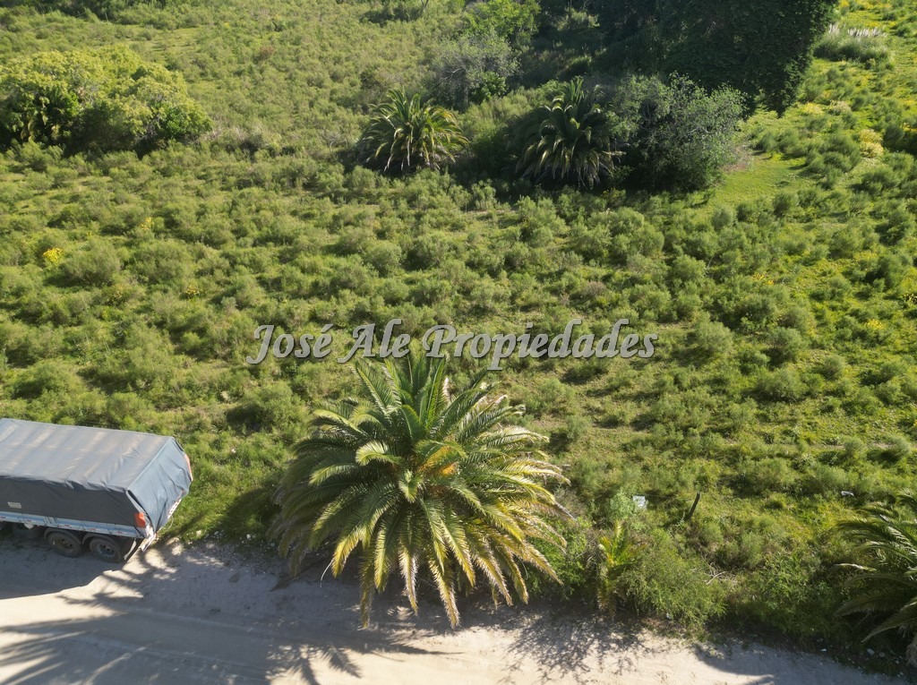 Imagen 8 de EN VENTA: Terreno en Colonia del Sacramento.