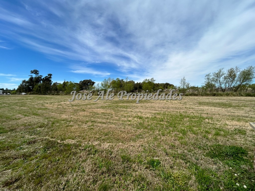 Imagen 1 de Espectacular terreno ubicado en Barrio Sheraton, el mismo cuenta con 1000 m2.