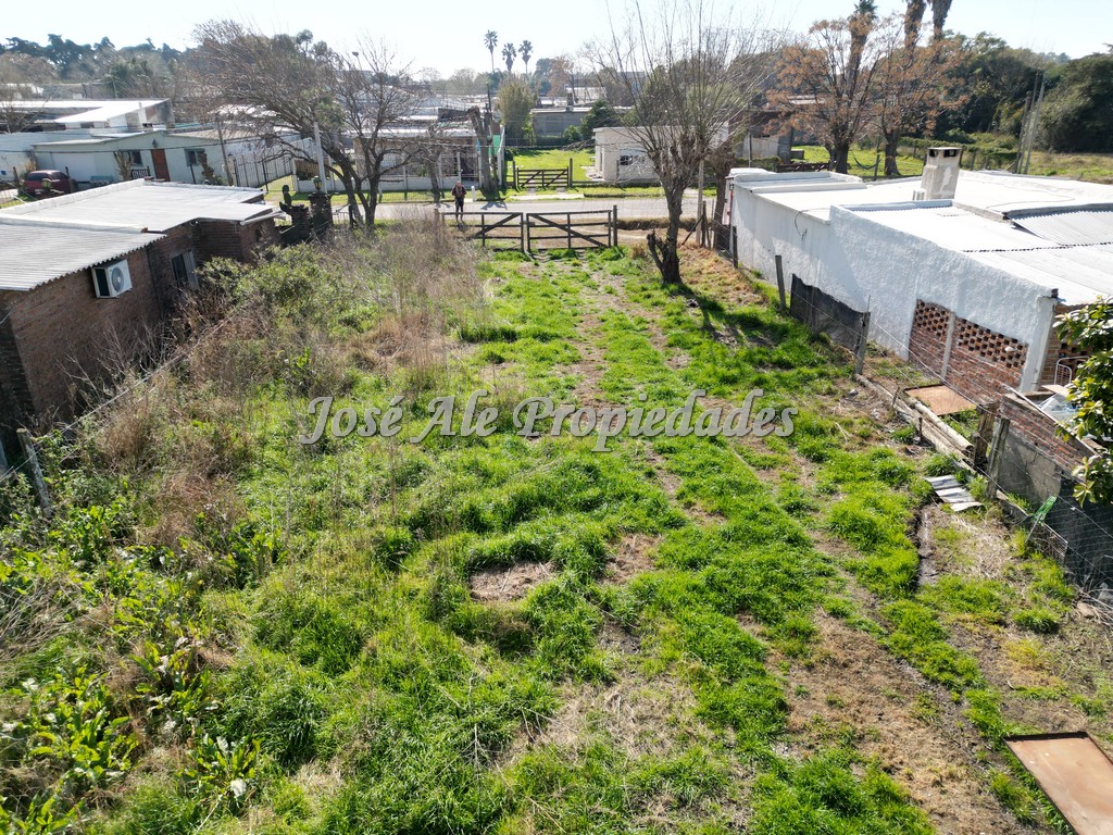 Imagen 6 de Terreno ubicado en el Real de San Carlos.